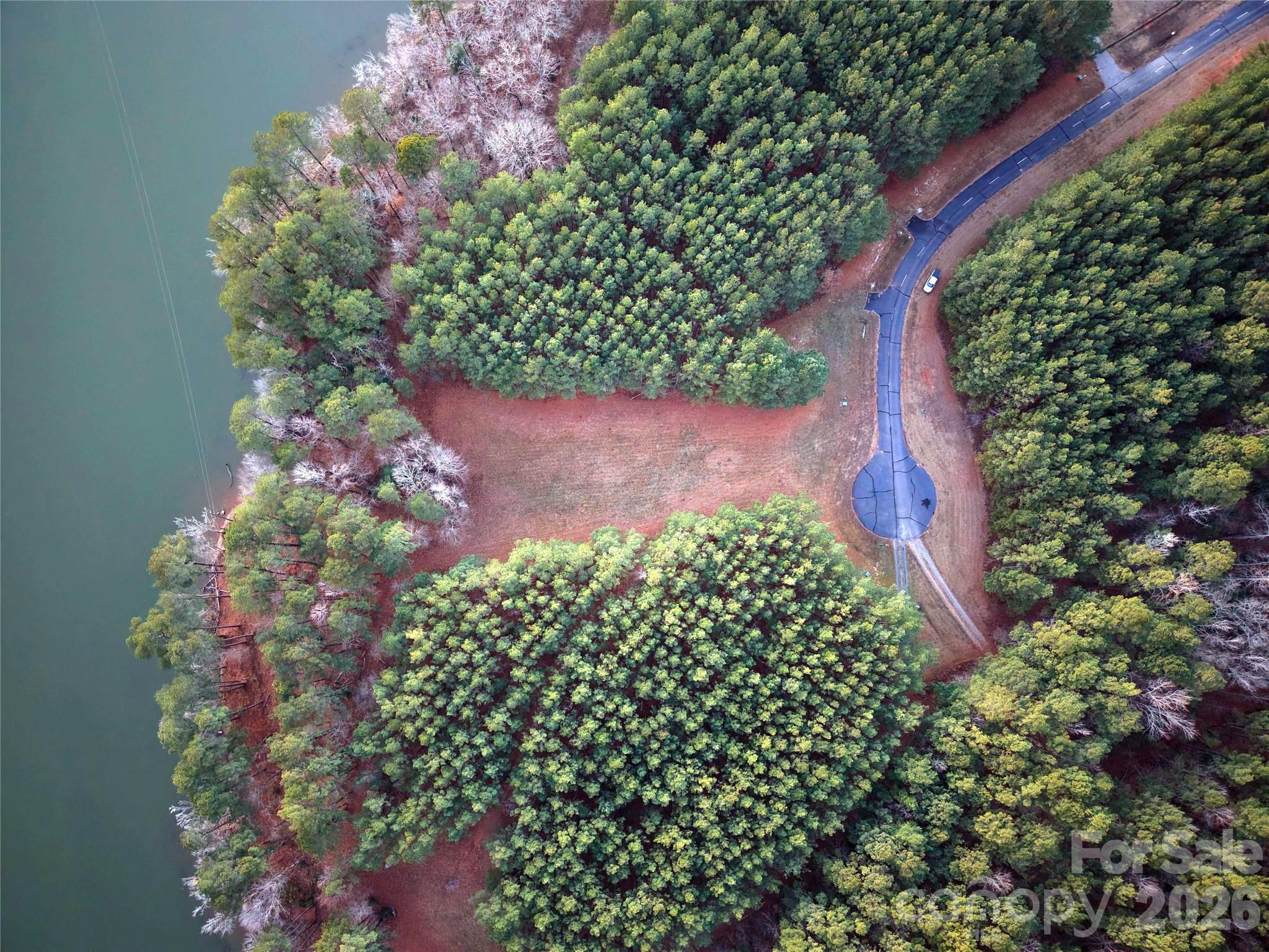 Tbd Tbd Spencer Pointe Road Lilesville, NC 28091 - Photo 6 of 19 a picture of flowers