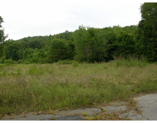 Lot 41 Carpenter Road Monson, MA 01057 - Photo 1 of 1 a view of a field of grass and trees