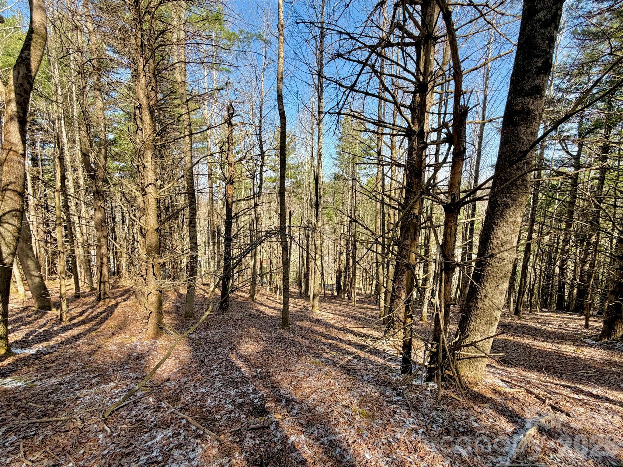 Tbd George Hayes Road, Unit TRACT B Boone, NC 28607 - Photo 11 of 22