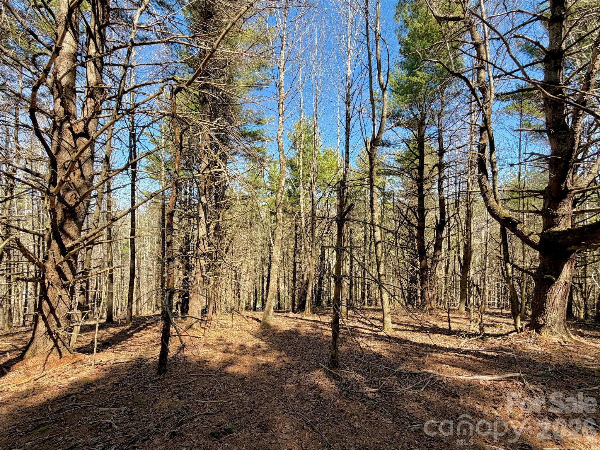 Tbd George Hayes Road, Unit TRACT B Boone, NC 28607 - Photo 13 of 22