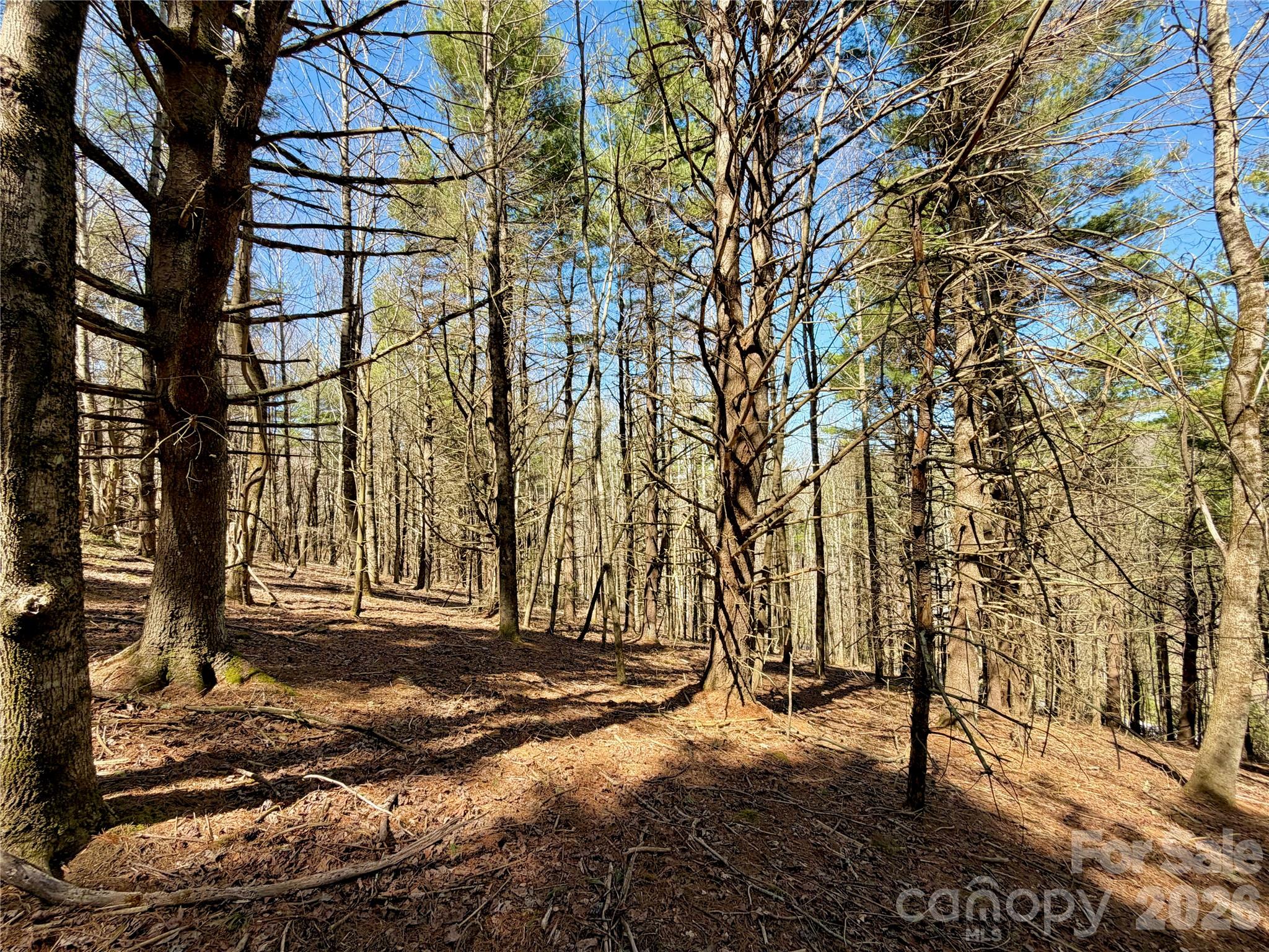 Tbd George Hayes Road, Unit TRACT B Boone, NC 28607 - Photo 14 of 22