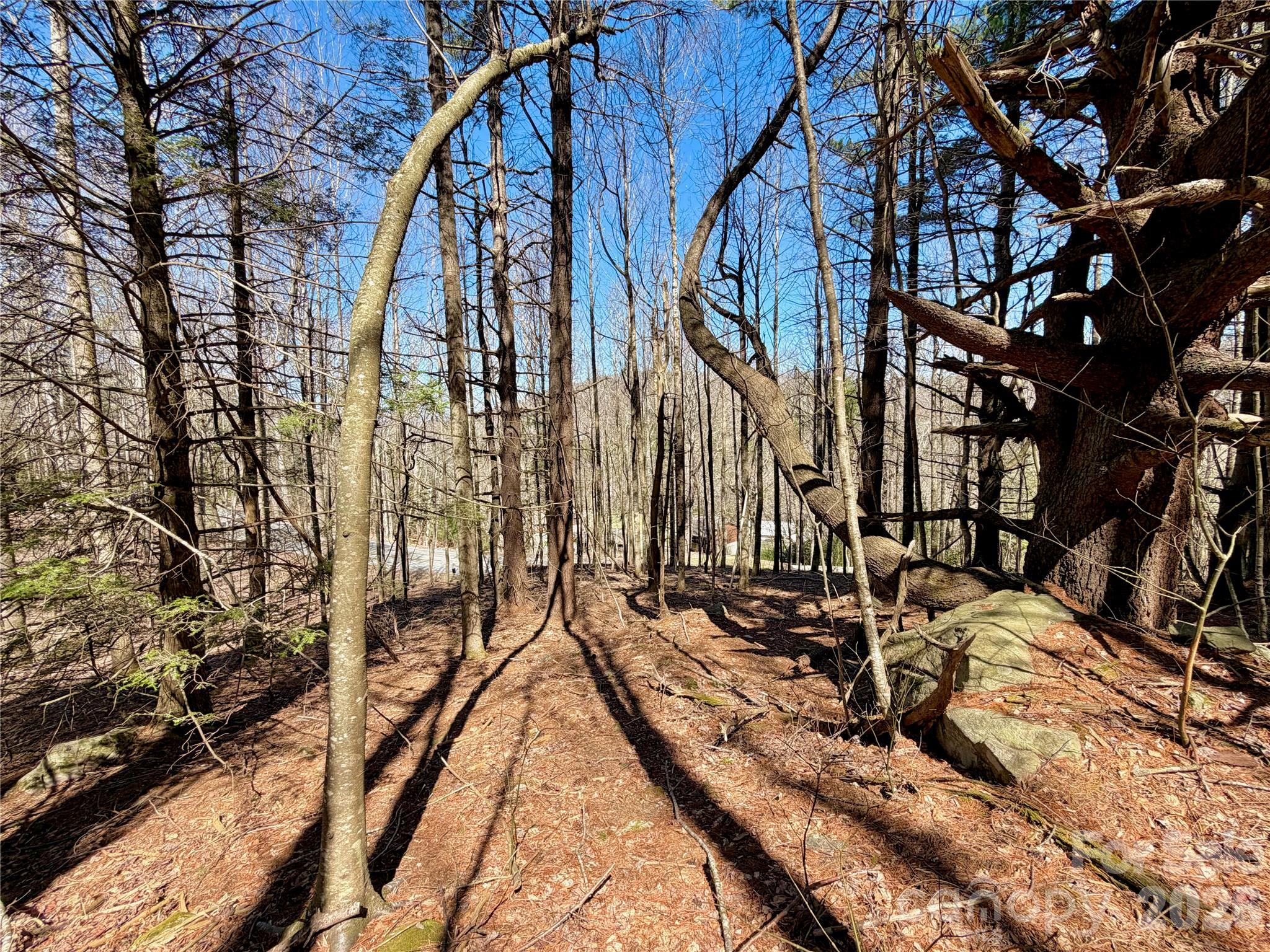 Tbd George Hayes Road, Unit TRACT B Boone, NC 28607 - Photo 16 of 22
