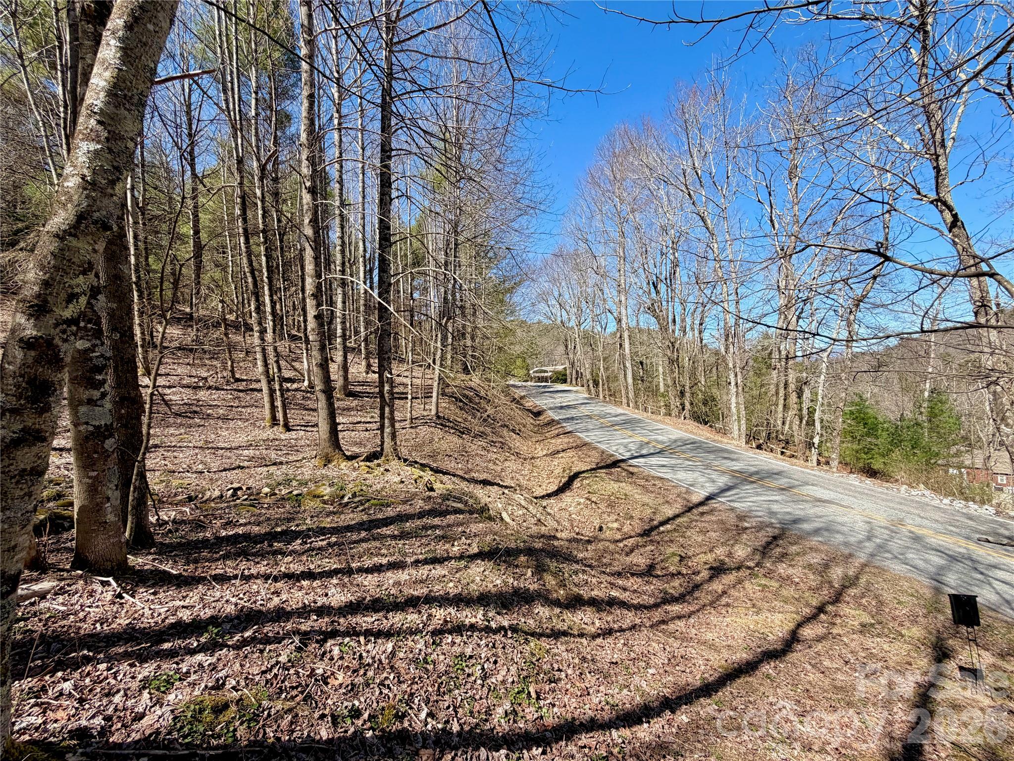 Tbd George Hayes Road, Unit TRACT B Boone, NC 28607 - Photo 18 of 22