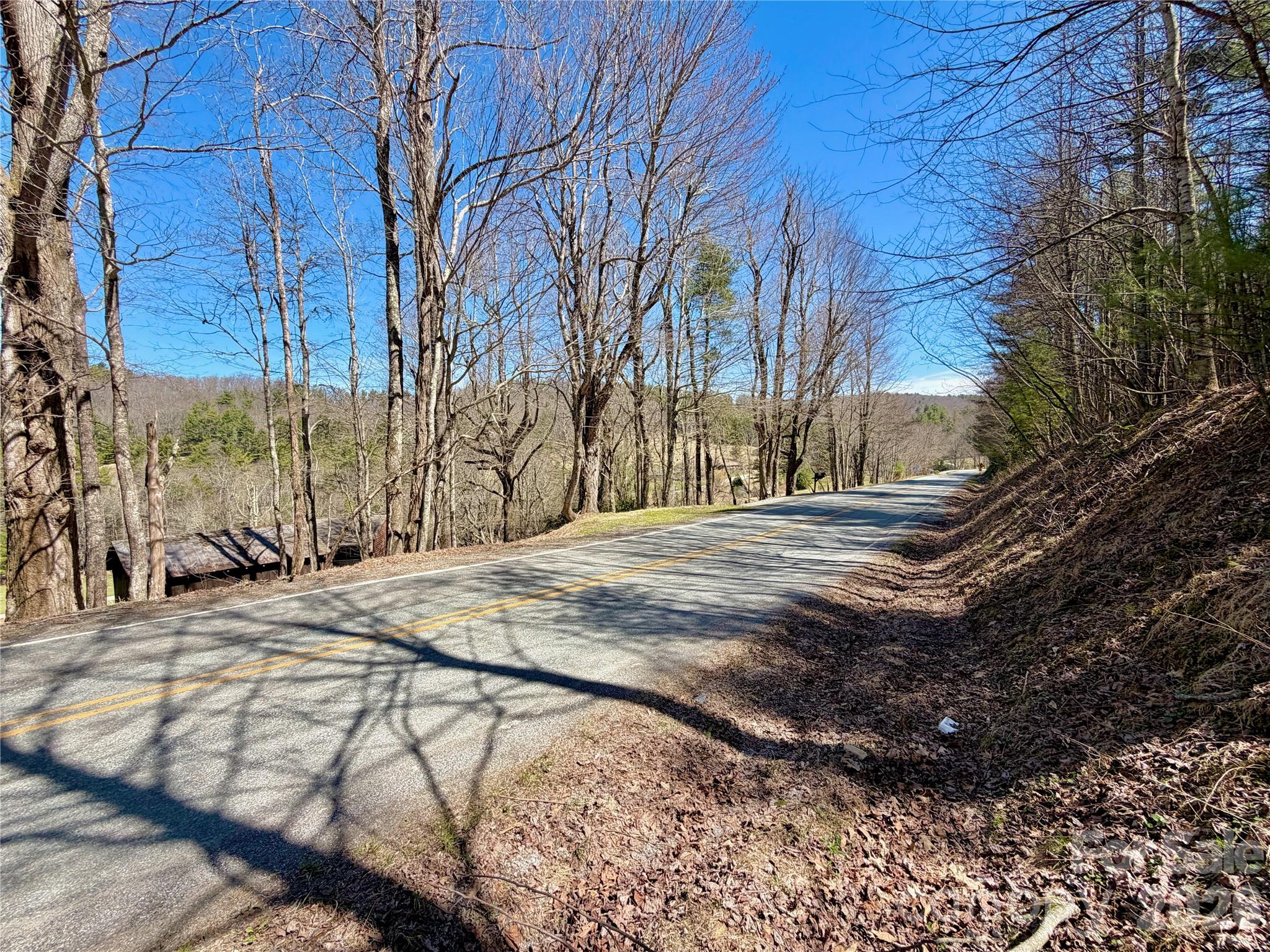 Tbd George Hayes Road, Unit TRACT B Boone, NC 28607 - Photo 19 of 22