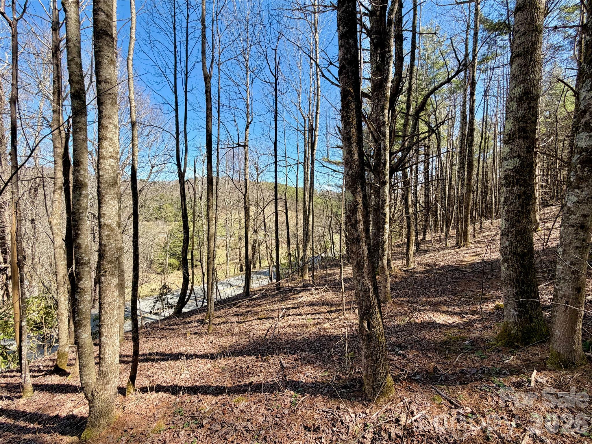 Tbd George Hayes Road, Unit TRACT B Boone, NC 28607 - Photo 20 of 22