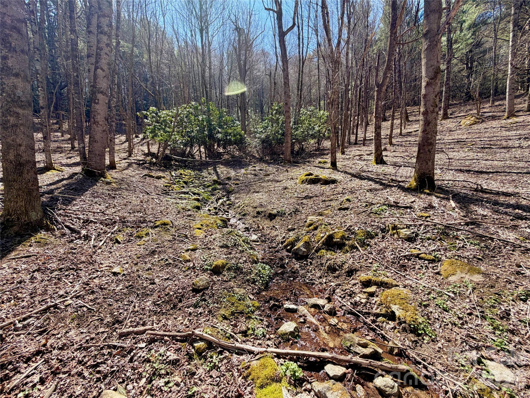 Tbd George Hayes Road, Unit TRACT B Boone, NC 28607 - Photo 2 of 22