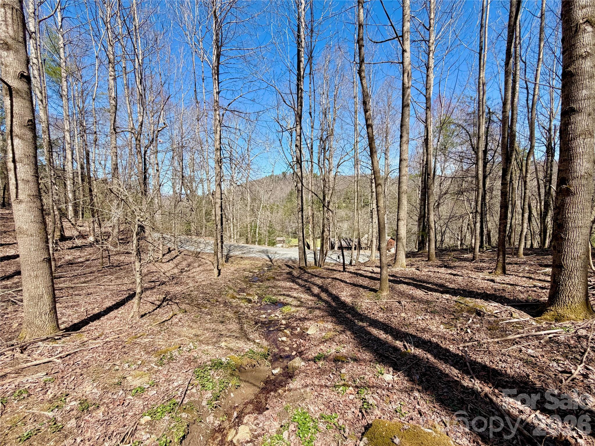 Tbd George Hayes Road, Unit TRACT B Boone, NC 28607 - Photo 6 of 23 a view of a backyard of the house