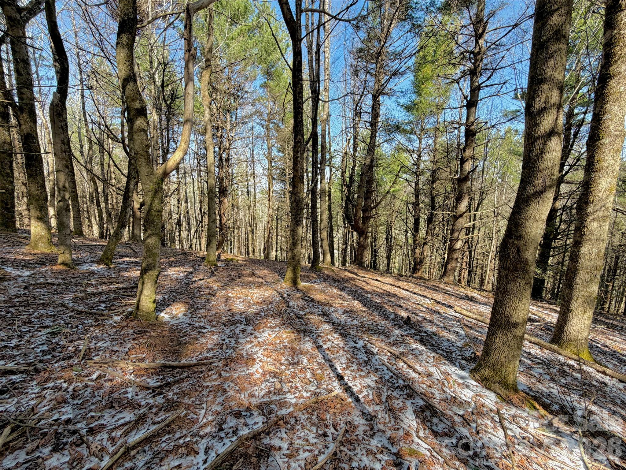 Tbd George Hayes Road, Unit TRACT B Boone, NC 28607 - Photo 9 of 22
