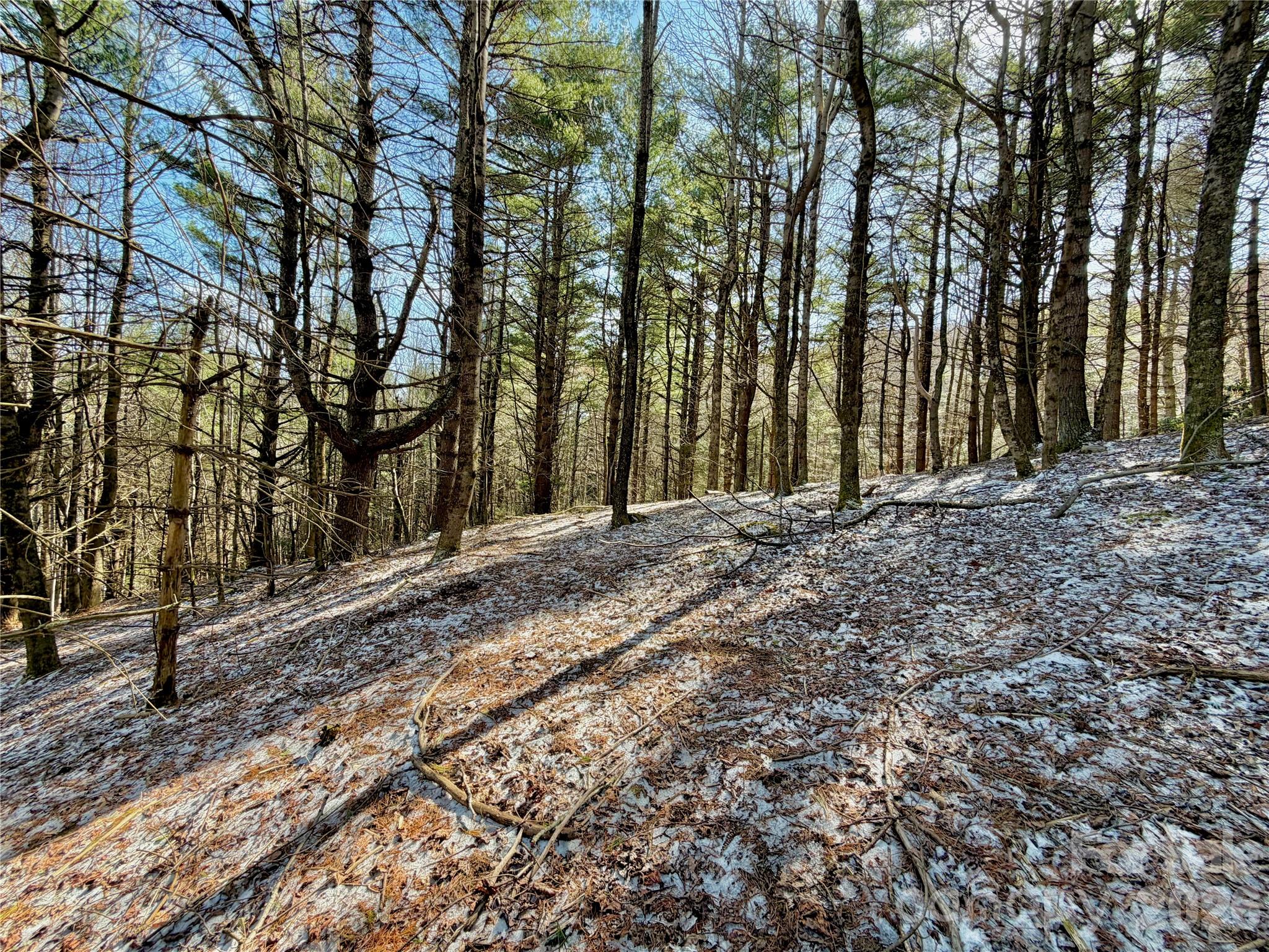 Tbd George Hayes Road, Unit TRACT B Boone, NC 28607 - Photo 10 of 22