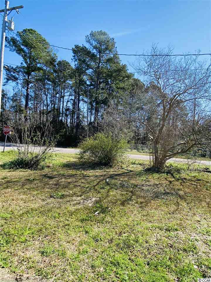 512 County Rd S-22-333 Georgetown, SC 29440 - Photo 3 of 13 Gallery Image 3