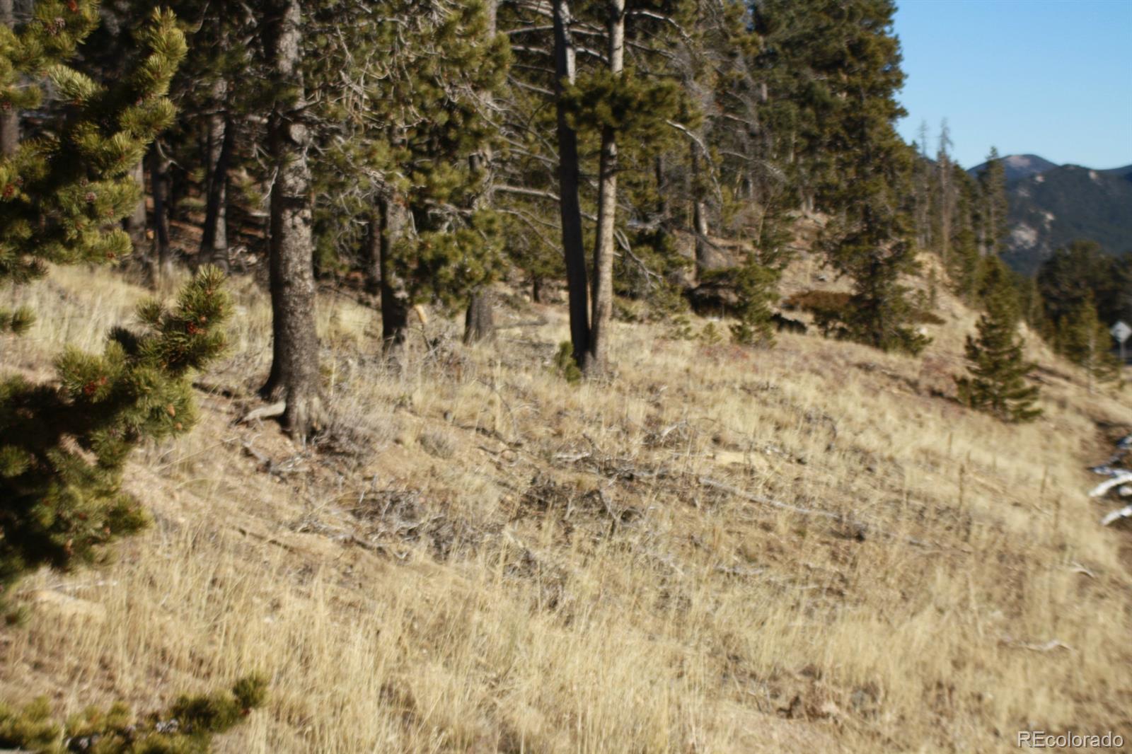0 Caesar Road Black Hawk, CO 80422 - Photo 4 of 7 a view of a bunch of trees