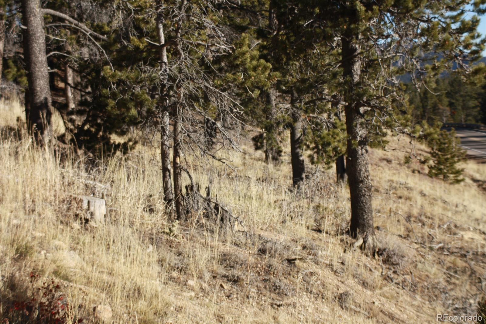0 Caesar Road Black Hawk, CO 80422 - Photo 7 of 7