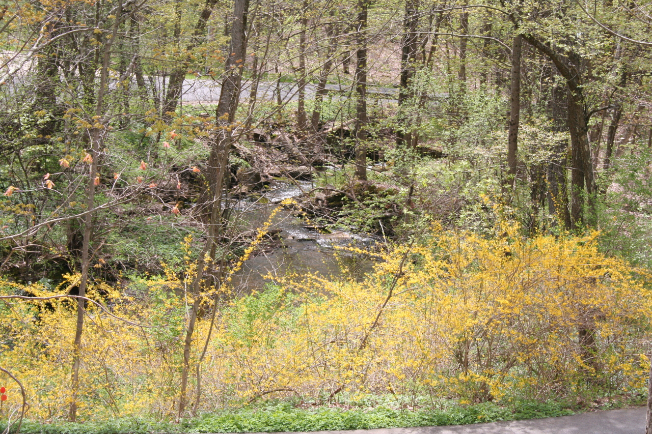 2 Sawmill Road Stockbridge, MA 01262 - Photo 20 of 22 terrace view