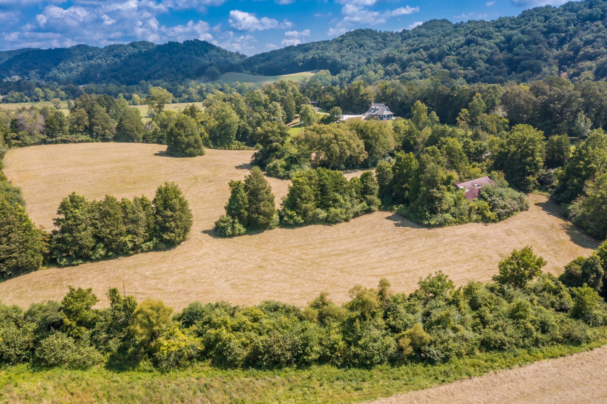 0 Brushy Valley Road Heiskell, TN 37754 - Photo 15 of 27 a view of a lake with a mountain in the background