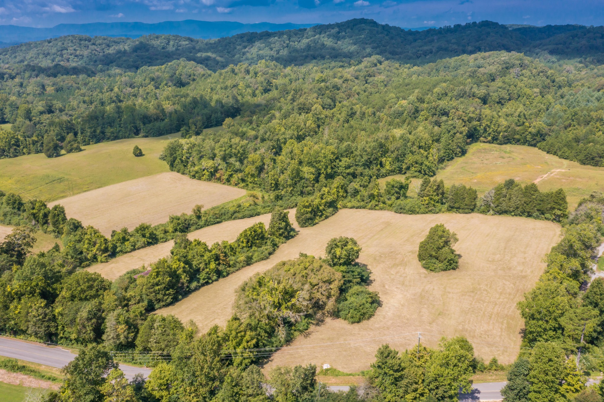 0 Brushy Valley Road Heiskell, TN 37754 - Photo 2 of 27 a view of a forest with a lake