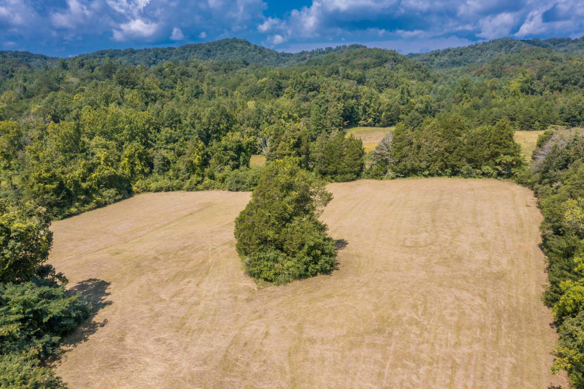 0 Brushy Valley Road Heiskell, TN 37754 - Photo 23 of 27 a view of a yard