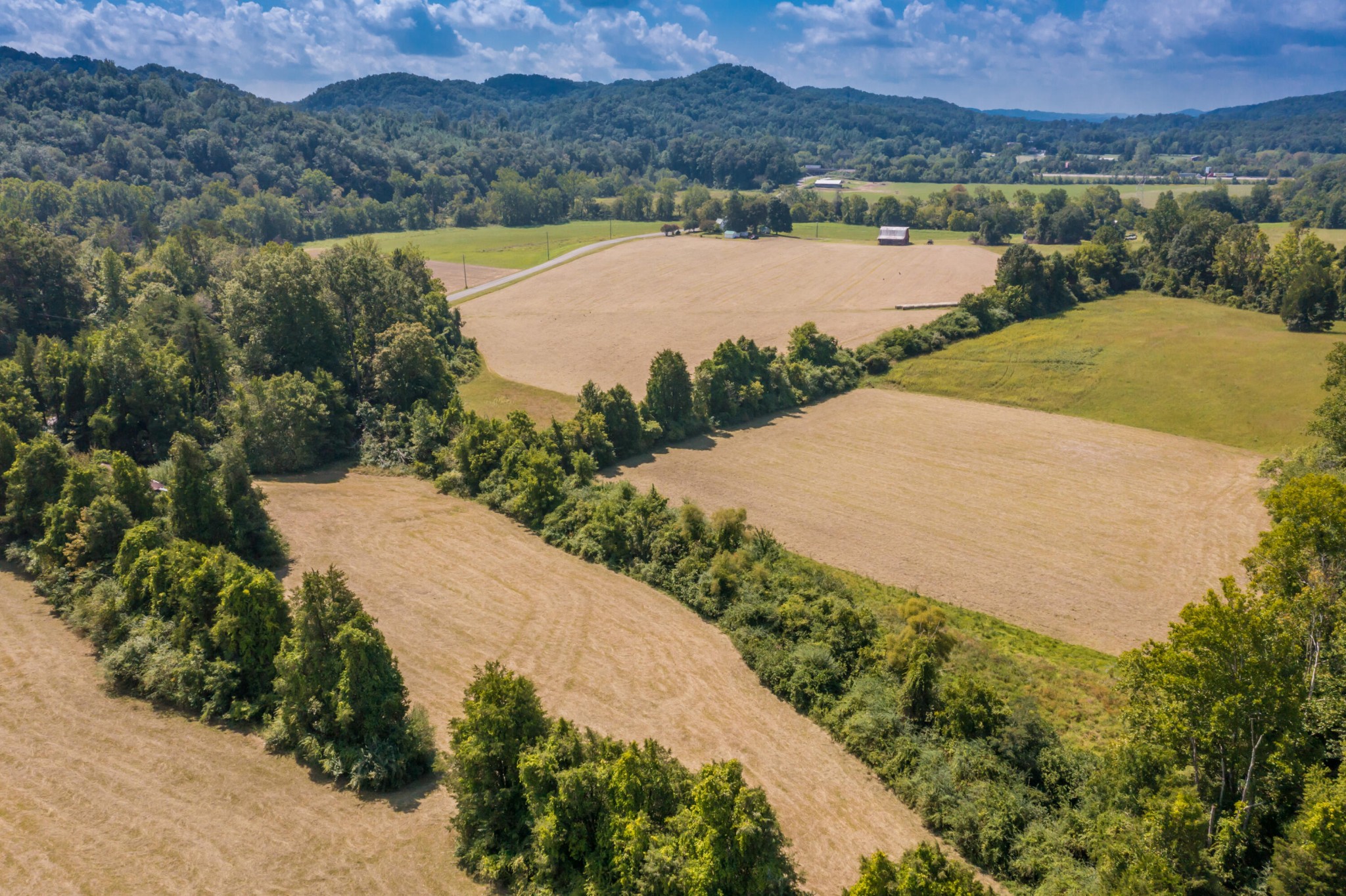 0 Brushy Valley Road Heiskell, TN 37754 - Photo 25 of 27 a view of a lake in middle of the house