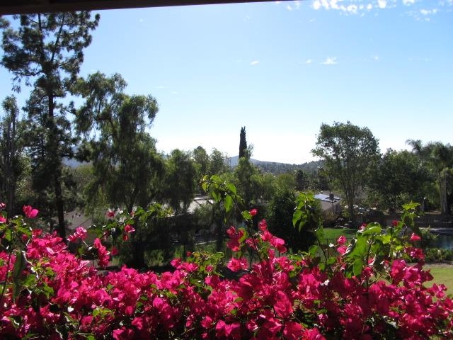 10833 Explorer Road La Mesa, CA 91941 - Photo 2 of 25 Gallery Image 2