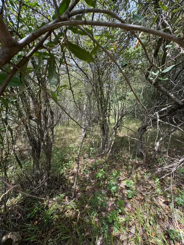 $9,900 | 519 & 520 Lake, Evart, MI 49631