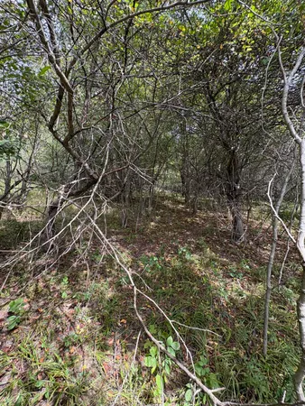 $5,000 | Miramichi Drive, Unit LOTS 519 520, Evart, MI 49631