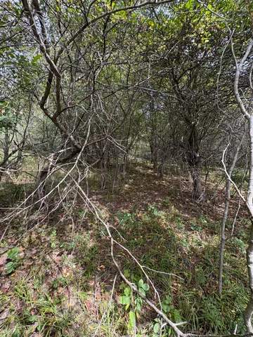 $9,900 | 519 & 520 Lake, Evart, MI 49631