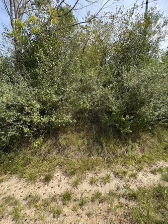 $5,000 | Miramichi Drive, Unit LOTS 519 520, Evart, MI 49631