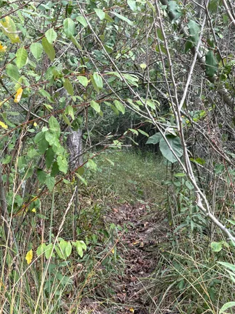 $5,000 | Miramichi Drive, Unit LOTS 519 520, Evart, MI 49631