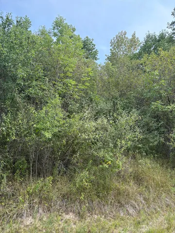 $9,900 | 519 & 520 Lake, Evart, MI 49631