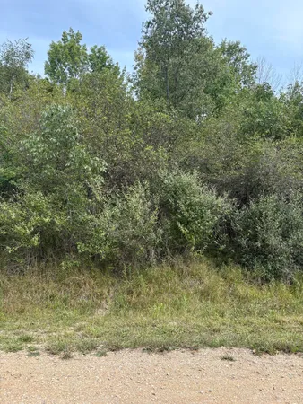 $5,000 | Miramichi Drive, Unit LOTS 519 520, Evart, MI 49631