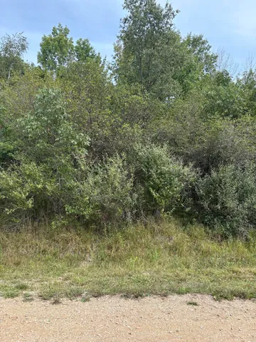 $9,900 | 519 & 520 Lake, Evart, MI 49631