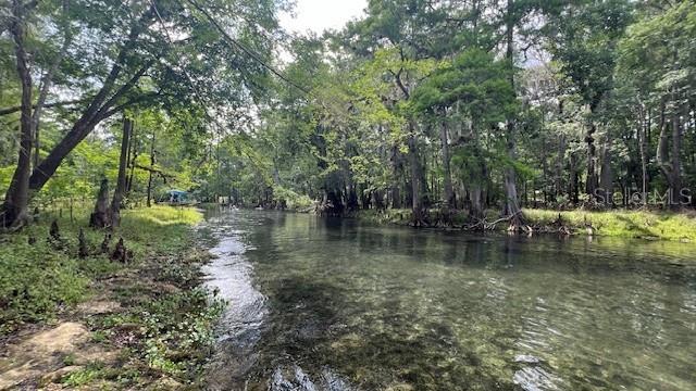 Southwest Bumble Street Fort White, FL 32038 - Photo 9 of 15 a view of lake
