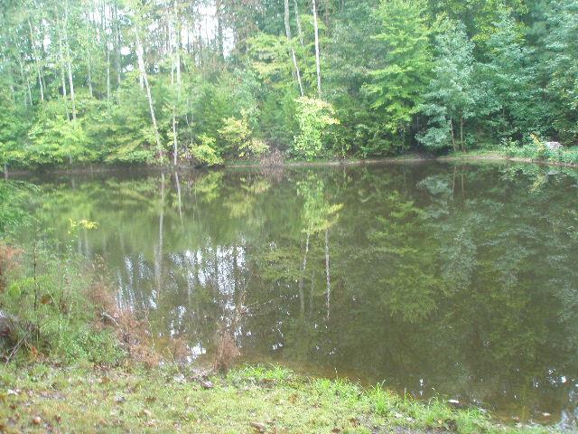 0 Mount Vernon Road Bethpage, TN 37022 - Photo 1 of 23