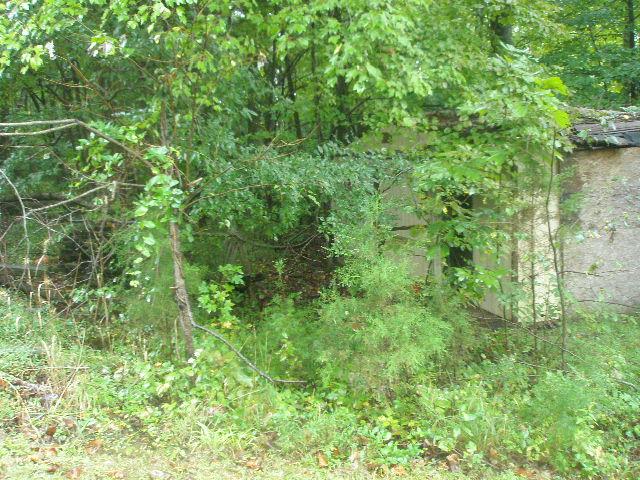 0 Mount Vernon Road Bethpage, TN 37022 - Photo 17 of 23