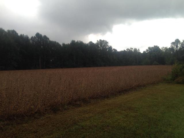 0 Mount Vernon Road Bethpage, TN 37022 - Photo 20 of 23