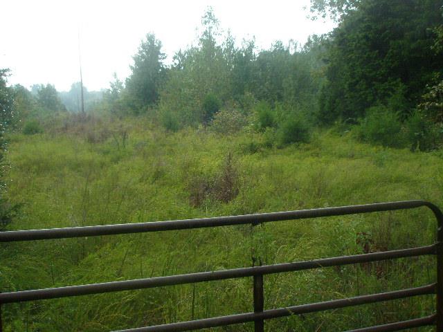0 Mount Vernon Road Bethpage, TN 37022 - Photo 2 of 23
