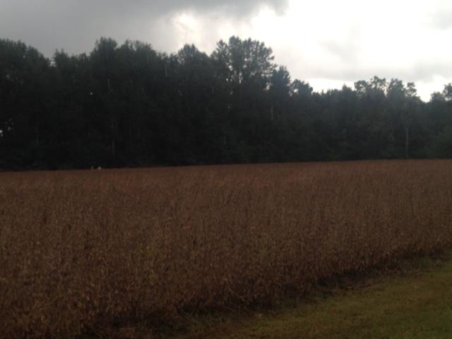 0 Mount Vernon Road Bethpage, TN 37022 - Photo 21 of 23