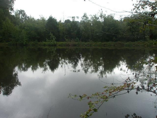 0 Mount Vernon Road Bethpage, TN 37022 - Photo 4 of 23