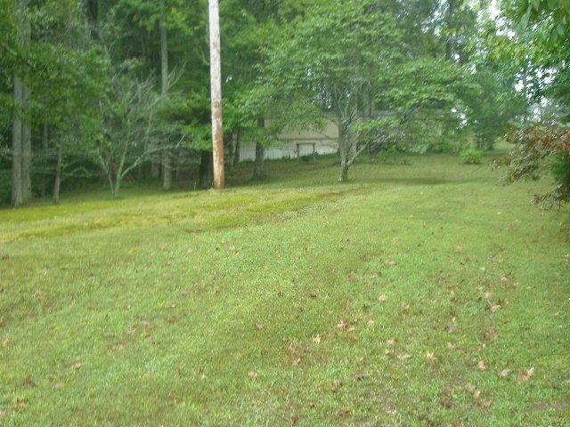 0 Mount Vernon Road Bethpage, TN 37022 - Photo 7 of 23