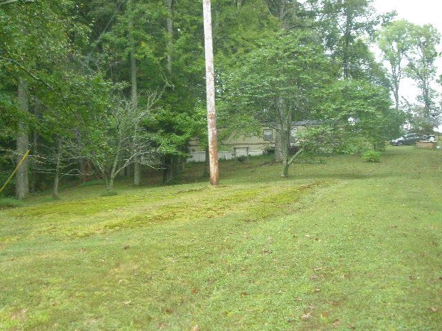 0 Mount Vernon Road Bethpage, TN 37022 - Photo 8 of 23