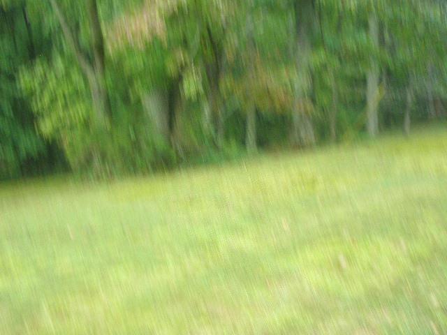 0 Mount Vernon Road Bethpage, TN 37022 - Photo 9 of 23
