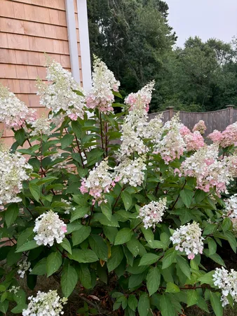 $900,000 | 23 Club House Drive, Pocasset, MA 02559