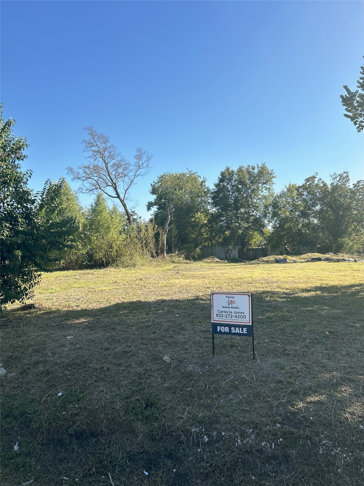0 Maggie Street Houston, TX 77051 - Photo 2 of 3 a view of a yard with a house