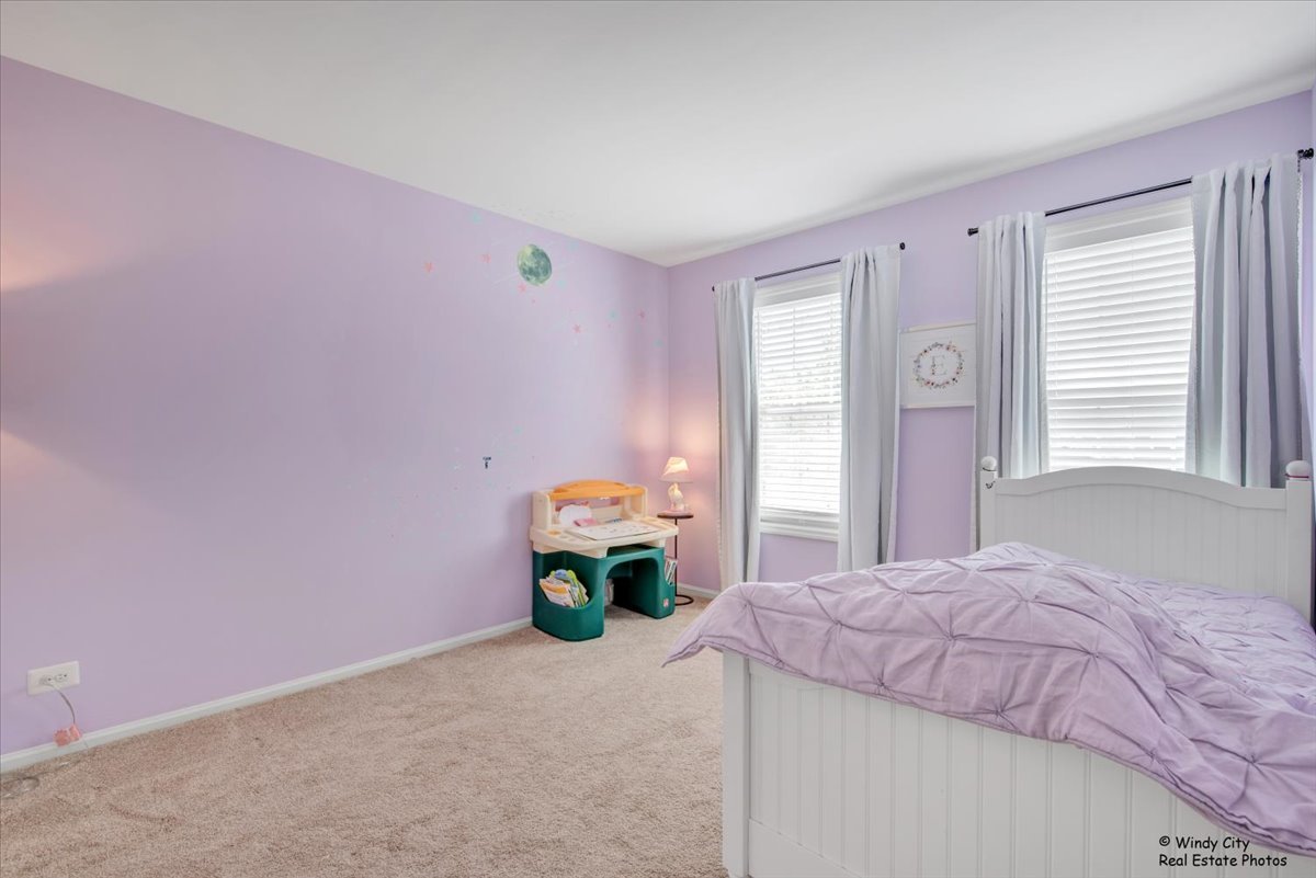 125 Chestnut Hills Circle Burr Ridge, IL 60527 - Photo 15 of 26