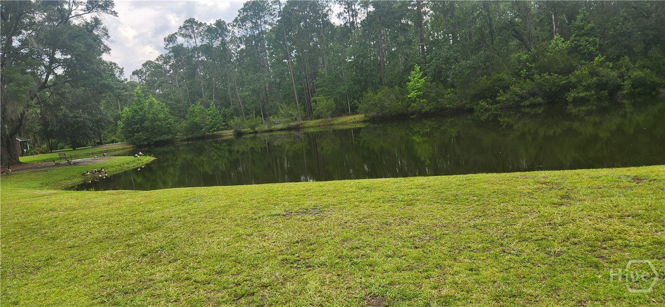 201 Blandford Way Rincon, GA 31326 - Photo 6 of 7