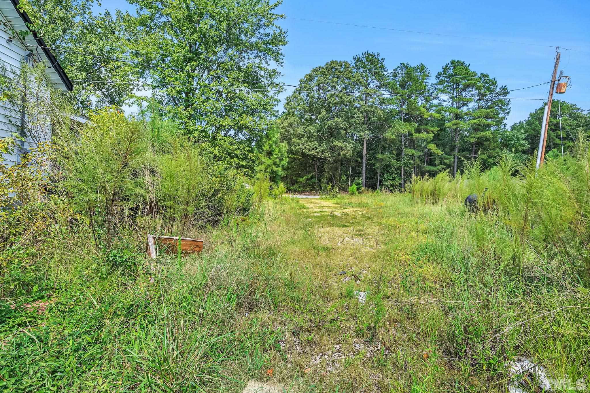 6200 Riley Hill Road Wendell, NC 27591 - Photo 5 of 12 a backyard of a house with lots of green space and plants