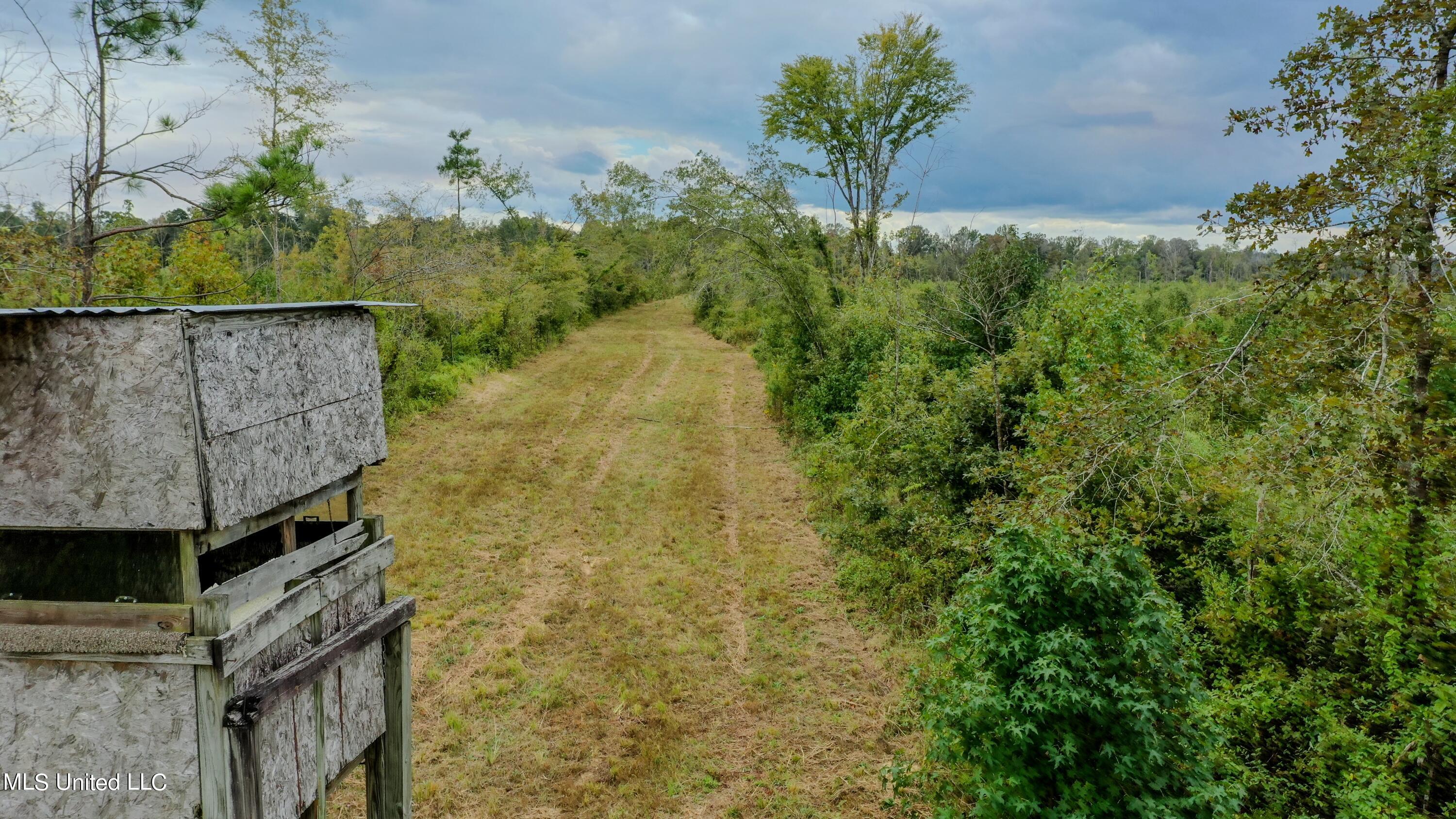 Red Dog Road Carthage, MS 39051 - Photo 1 of 19 DJI_0171