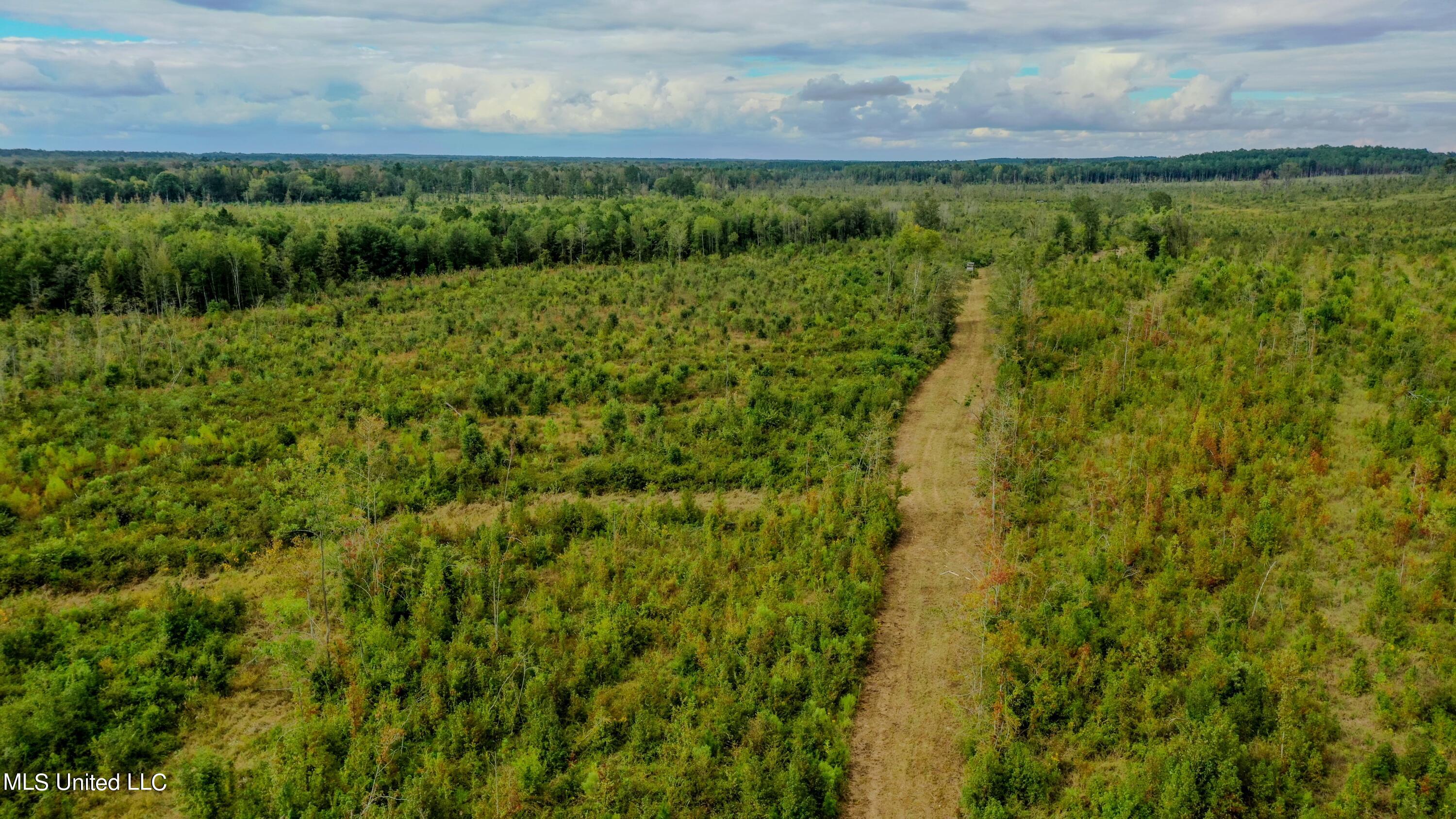 Red Dog Road Carthage, MS 39051 - Photo 11 of 19 DJI_0201