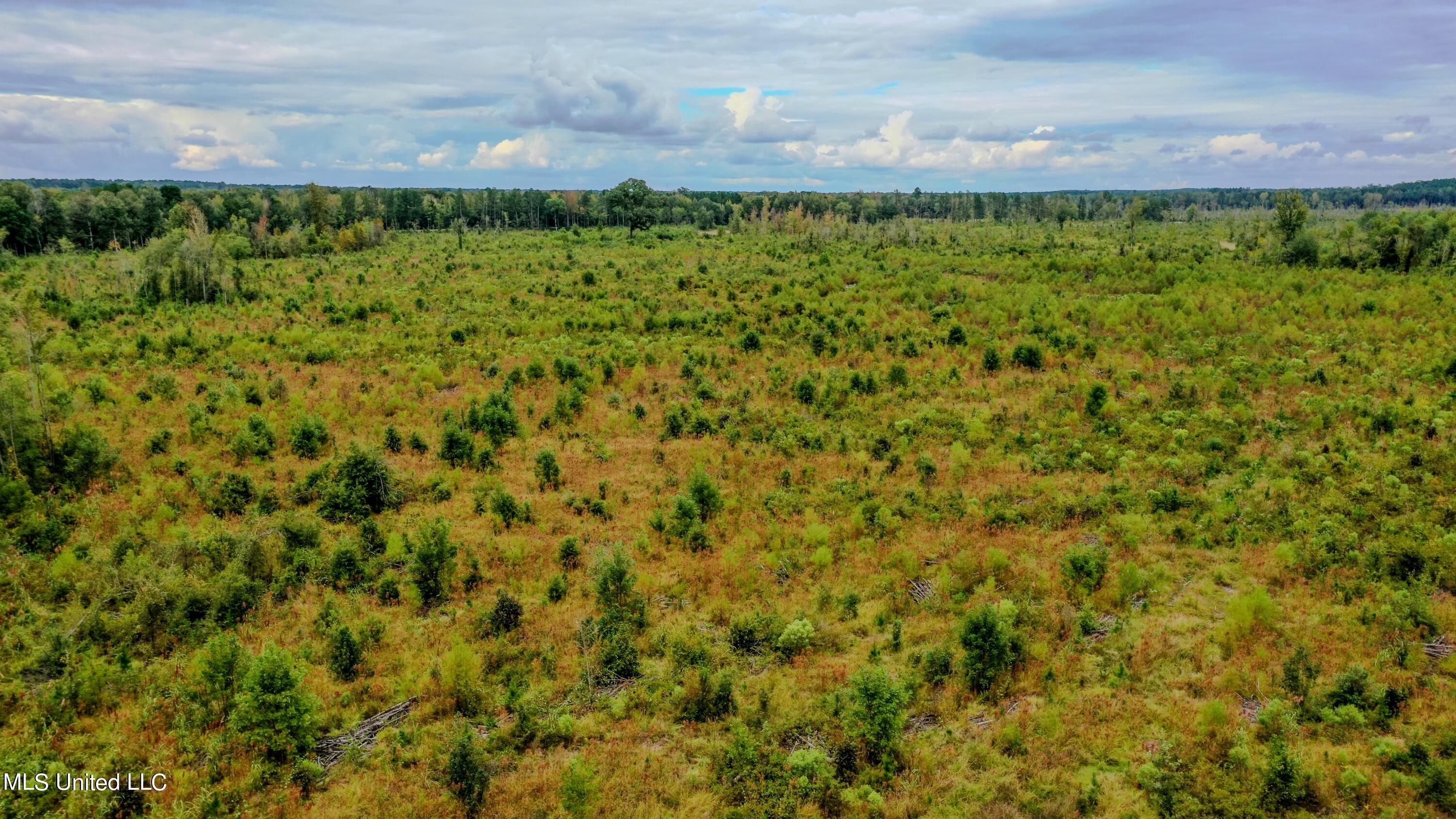 Red Dog Road Carthage, MS 39051 - Photo 12 of 19 DJI_0161