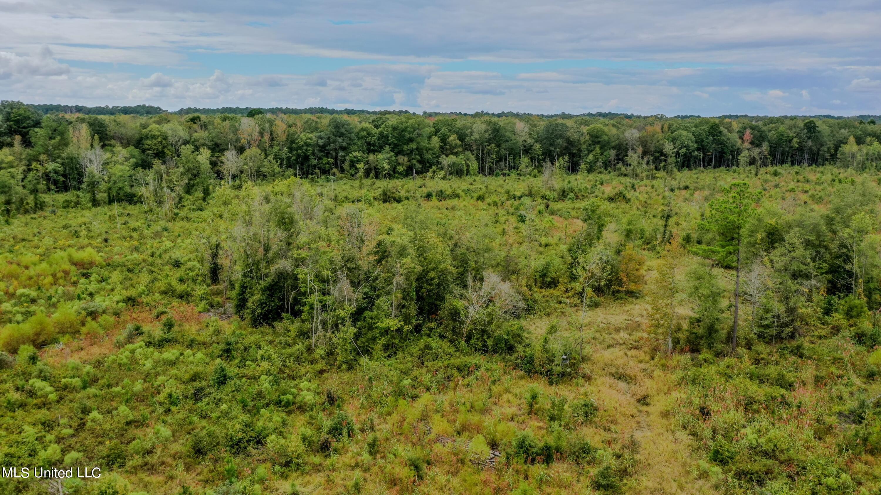 Red Dog Road Carthage, MS 39051 - Photo 13 of 19 DJI_0163