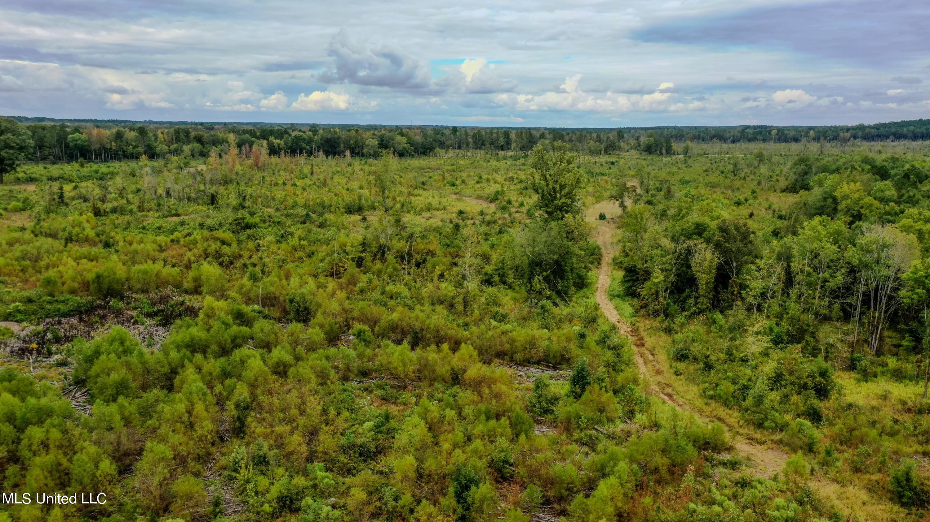Red Dog Road Carthage, MS 39051 - Photo 14 of 19 DJI_0165